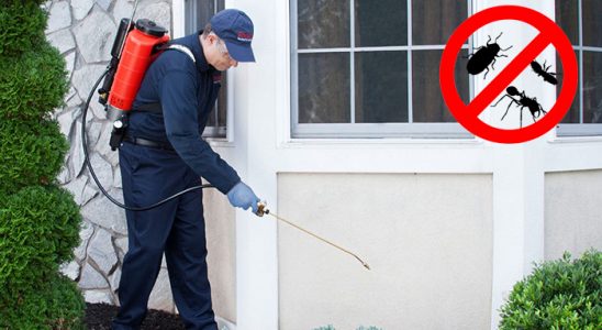 Göle Gümüşkurt İlaçlama böcek ilaçlama ve haşere kontrolü — ilaclama-tr.com